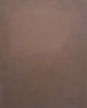 4169